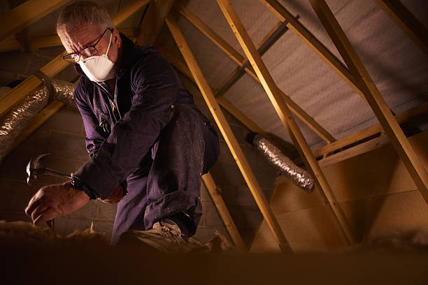 Best Commercial Insulation in Wabasso Beach, FL